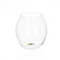 Lobmeyr Balloon Tumbler with Painted Eye