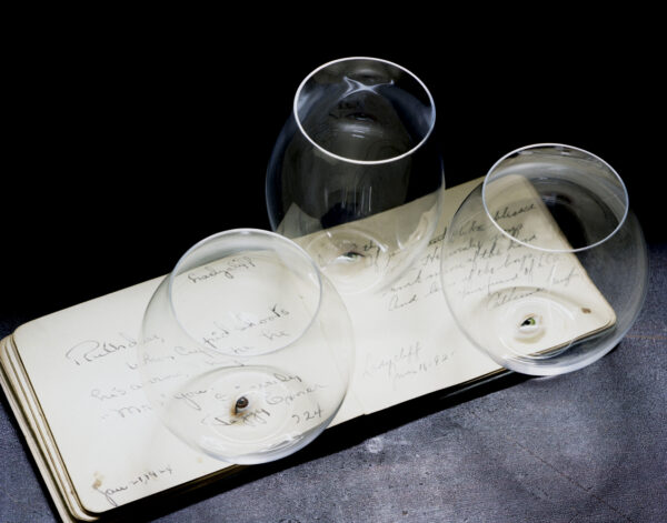 Lobmeyr Balloon Tumblers with Painted Eye