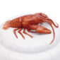 Nymphenburg Mare Nostrum Tureen with Crawfish Detail View