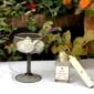 Giberto San Valentino Champagne Coupe