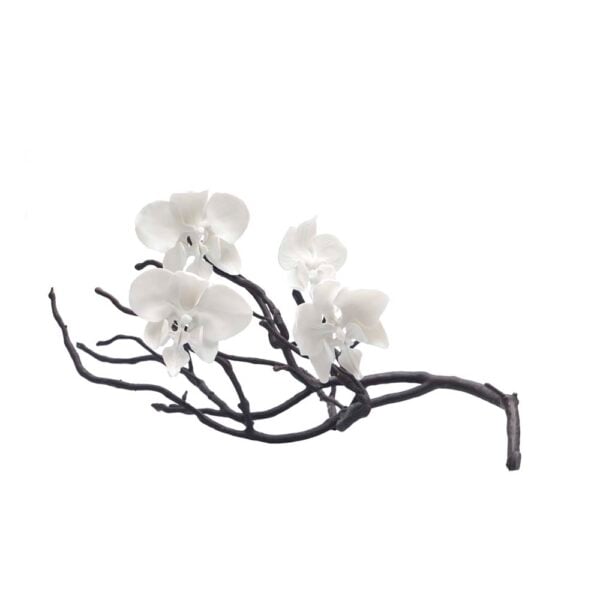 Nymphenburg Orchid Branch with 4 Flowers