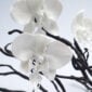 Orchid Branch Bronze and Porcelain