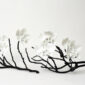 Nymphenburg Orchid Branches
