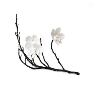 Nymphenburg Orchid Branch With 3 Flowers