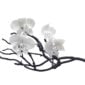 Nymphenburg Orchid Branch with 4 Flowers