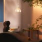 Saint-Louis Folia Crystal One-Light Pendant in Luxury Home