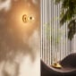 Saint-Louis Folia Crystal One-Light Sconce in Brushed Brass