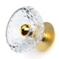 Saint-Louis Folia Crystal One-Light Sconce Brushed Brass