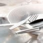 Robbe & Berking 12 flatware on white plate