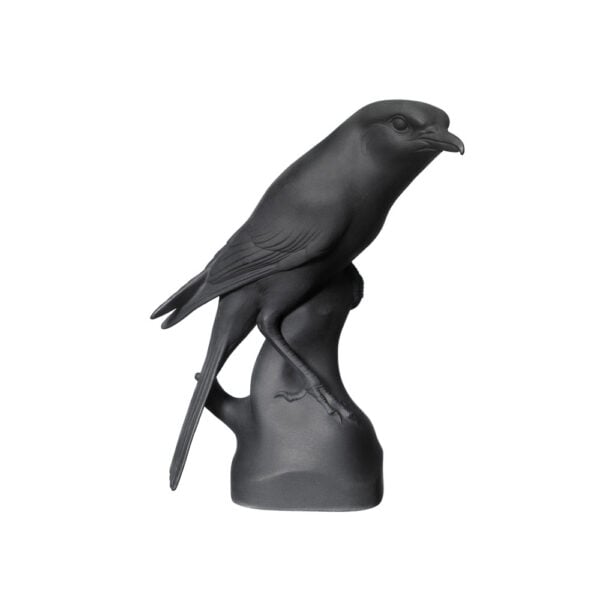 Nymphenburg Shrike Bird Black Bisque