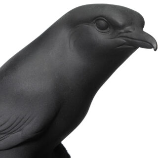 Nymphenburg Shrike Bird Black Bisque Detail View