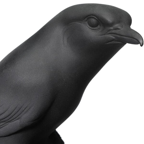 Nymphenburg Shrike Bird Black Bisque Detail View