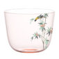 Lobmeyr Alpha Garden of Paradise Tumbler 5