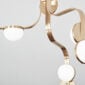 Lobmeyr Script Chandelier close up by Bodo Sperlein