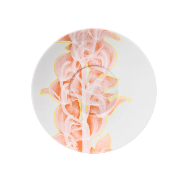 Hering Berlin Palmhouse X Coral Coupe Plate Small