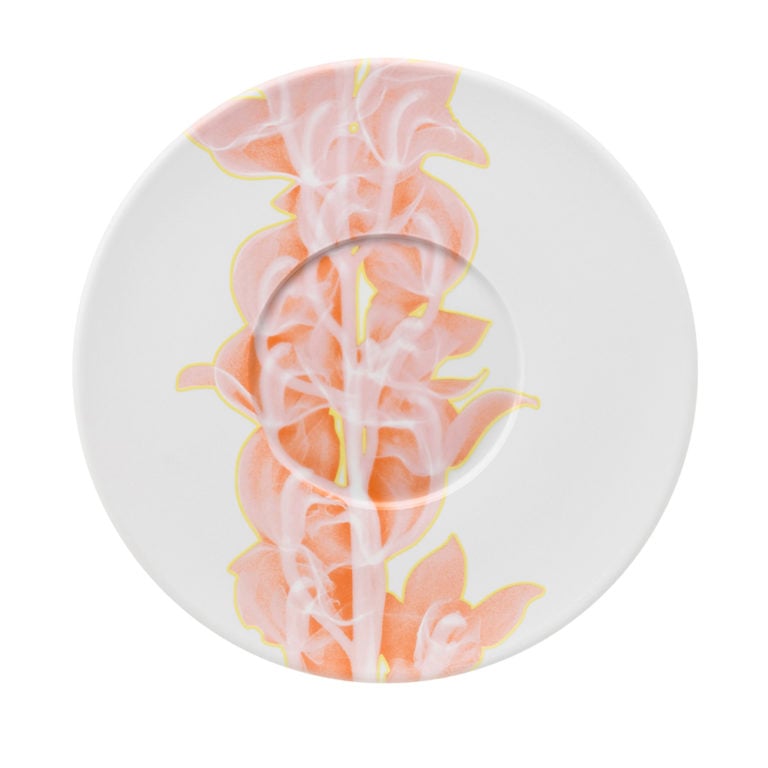 Hering Berlin Palmhouse X Coral Coupe Plate Medium