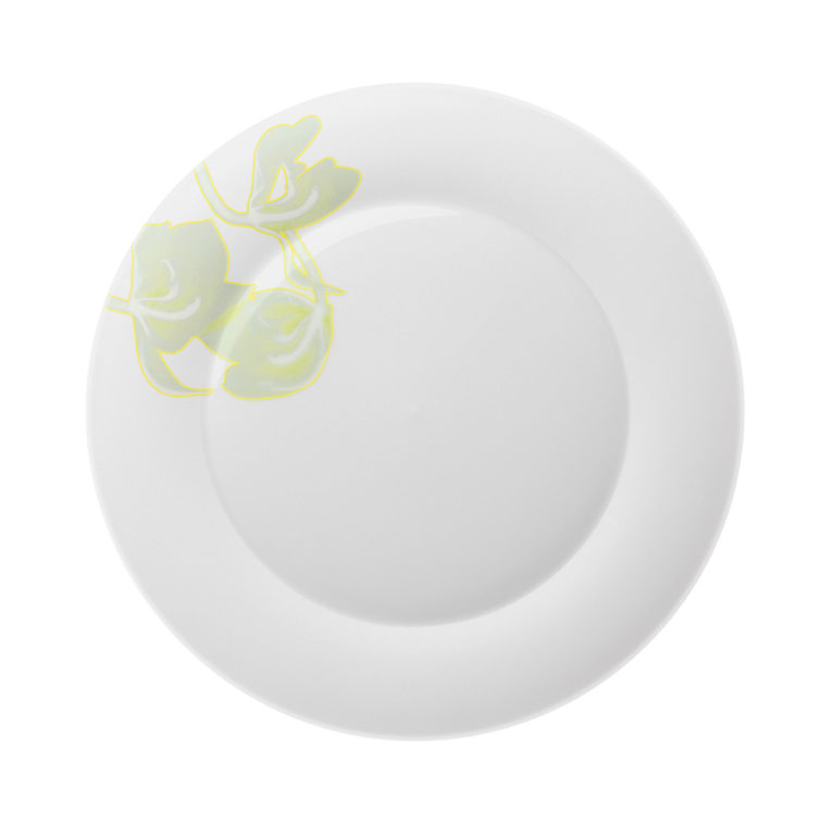 Hering Berlin Palmhouse X Sage Dinner Plate
