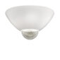 Venini Argea Ceiling Light Silver Leaf