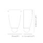 Venini Argea Wall Sconce Scale