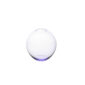 Lobmeyr Small Fish Bowl Vase in Amethyst | Kneen & Co