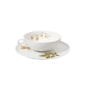 Nymphenburg Lotos Indian Summer Tea Cup and Saucer