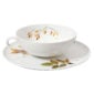 Nymphenburg Lotos Indian Summer Tea Saucer Close Up