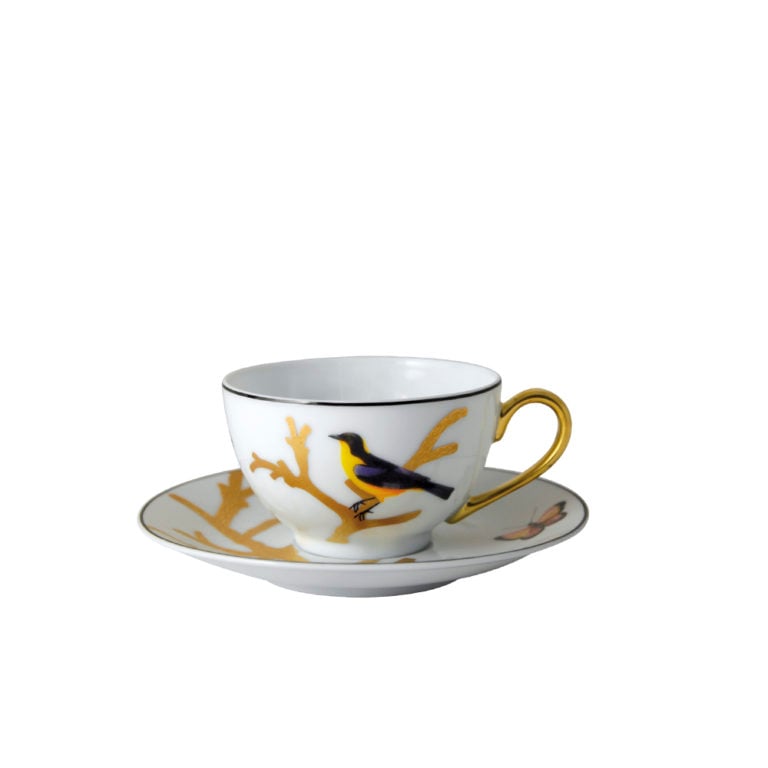 Bernardaud Aux Oiseaux Tea Cup and Saucer