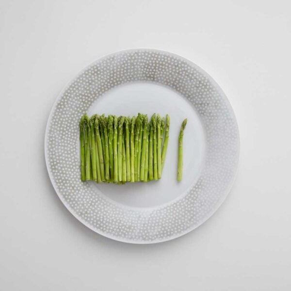 Hering Berlin Illusion Dinnerware Hering Berlin Illusion Dinnerware