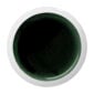 Hering Berlin Emerald Carving Platter