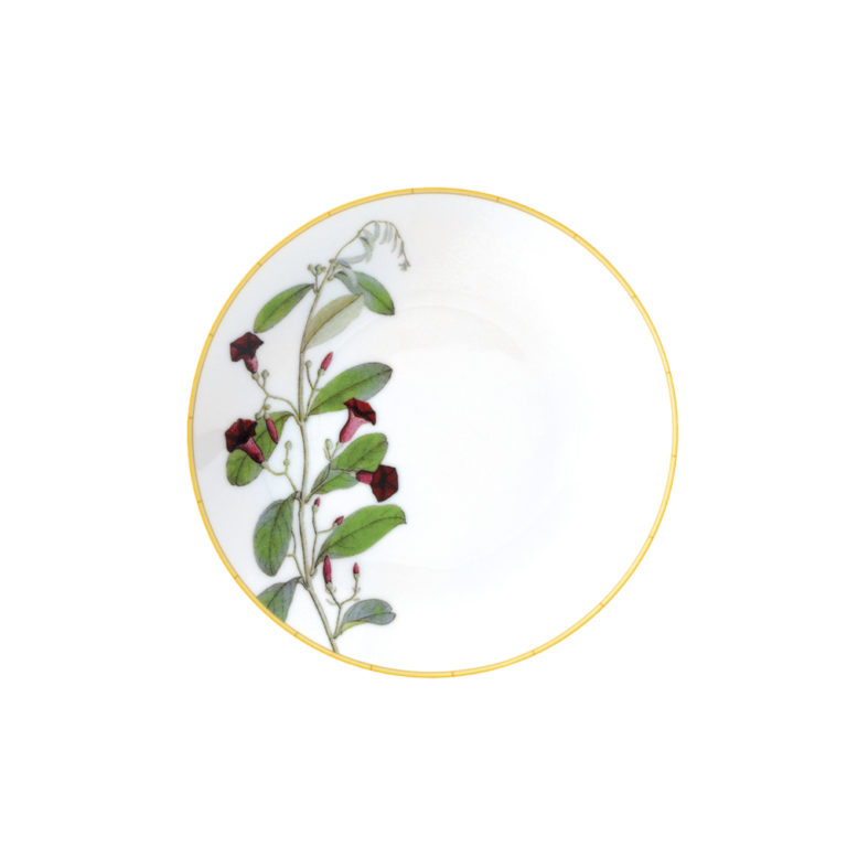 Bernardaud Jardin Indien Coupe Bread and Butter Plate