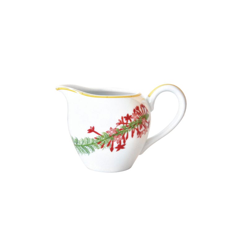 Bernardaud Jardin Indien Creamer