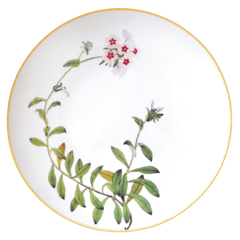 Bernardaud Jardin Indien Deep Round Dish
