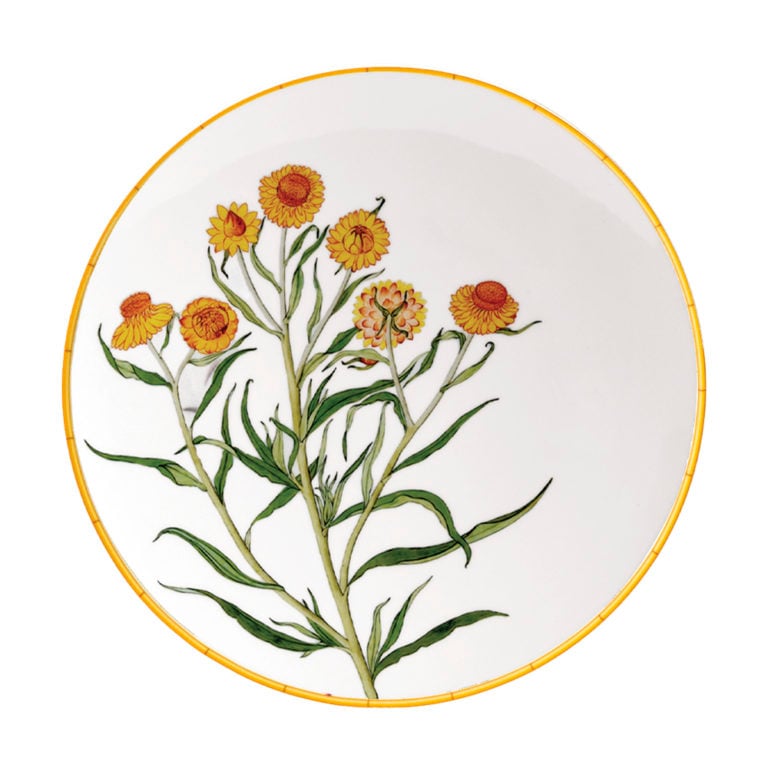 Bernardaud Jardin Indien Bergenis Coupe Dinner Plate
