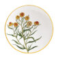 Bernardaud Jardin Indien Bergenis Coupe Dinner Plate