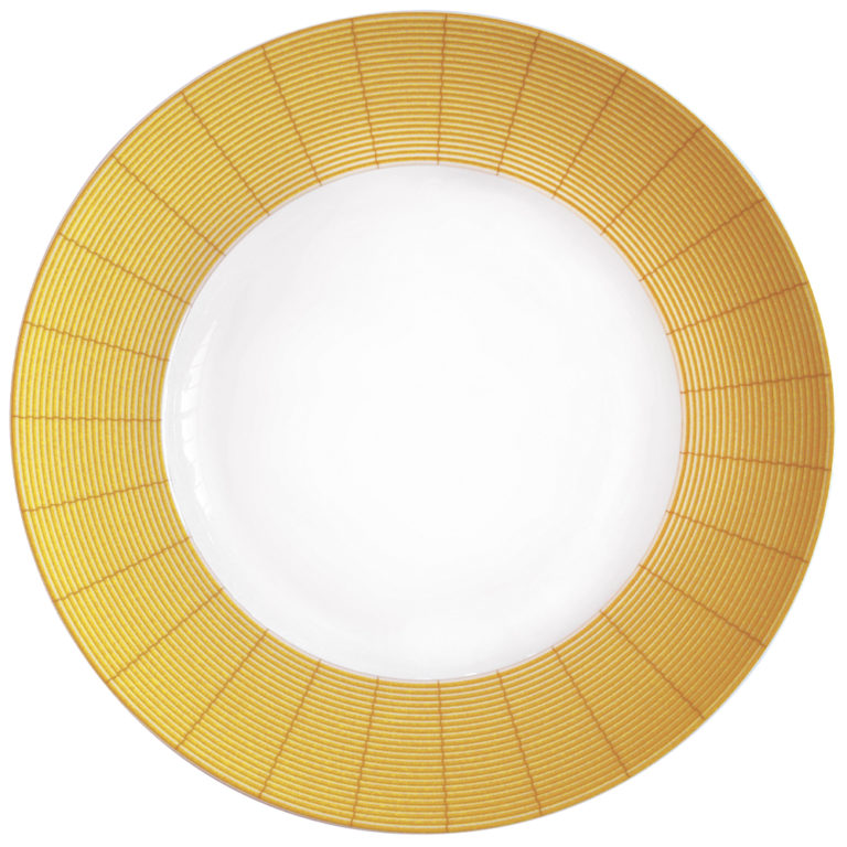 Bernardaud Jardin Indien Service Plate Large Rim