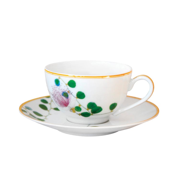 Bernardaud Jardin Indien Tea Cup and Saucer