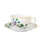 Bernardaud Jardin Indien Tea Cup and Saucer