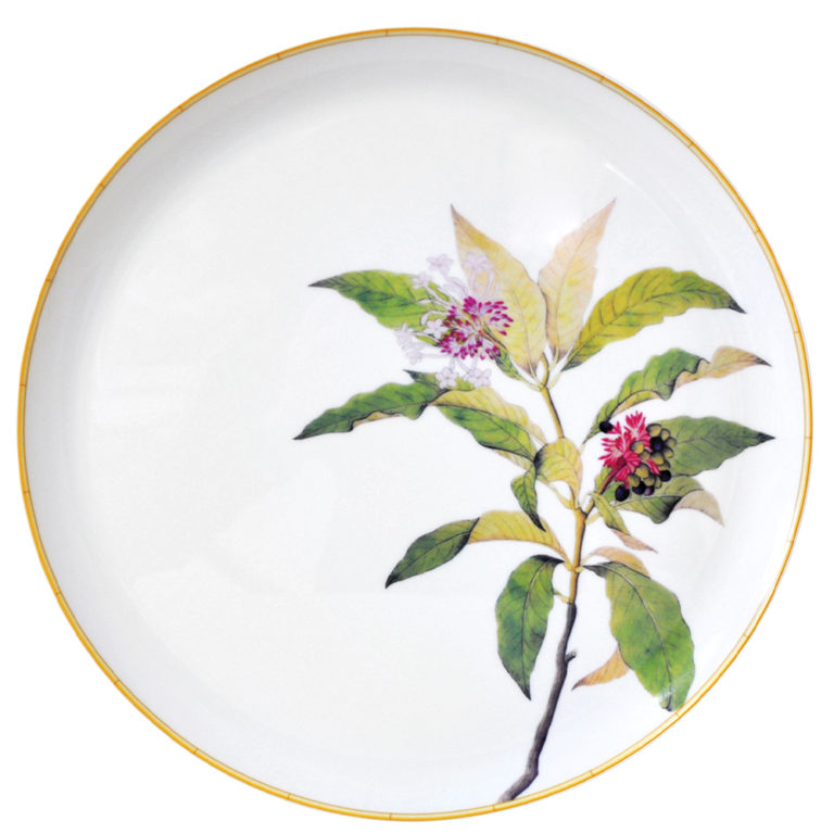Bernardaud Jardin Indien Round Tart Platter