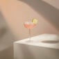 Richard Brendon The Cocktail Collection Classic Coupe Glass – Set of 2