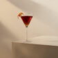 Richard Brendon The Cocktail Collection Classic Martini Glass – Set of 2