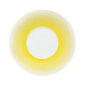 JL Coquet Hemisphere Mimosa Dinner Plate | Kneen & Co