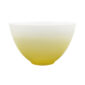 JL Coquet Hemisphere Mimosa Large Bowl | Kneen & Co
