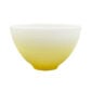JL Coquet Hemisphere Mimosa Medium Bowl | Kneen & Co