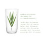 Lobmeyr Beautiful Numbers Beer Tumbler – “UN Climate Convention”