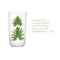 Lobmeyr Beautiful Numbers Beer Tumbler – “Marine Protected Areas”