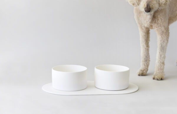 TF Design Pet Collection TF Design Pet Collection
