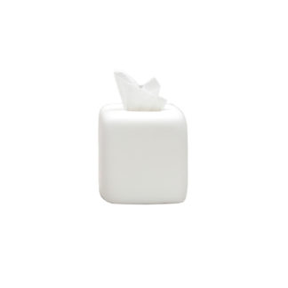 TF Design Water Bath Tissue Box White
