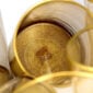 Giberto Oro Gold Glasses