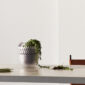 Saint-Louis Folia Satin Vase Small | Kneen & Co