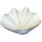 Herend Reserve Collection Giant Clam